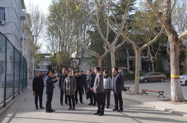 1743988858772187.jpg DSC_3983.JPG